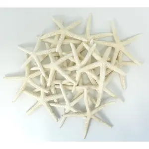 Starfish Decor -  Fish for Craft - 18pk Real 3-4" White Sea Stars - Beach Wedding Decor - Coastal Party Decorations - Seashell Decor