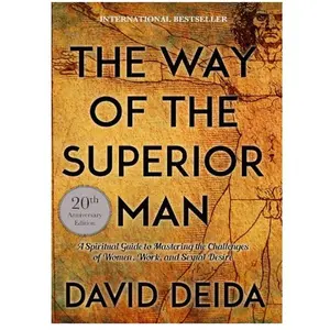 The Way of the Superior Man 20th Anniversary Edition A Spiritual Guide to Mastering Women Work and Sexual Desire Paperback