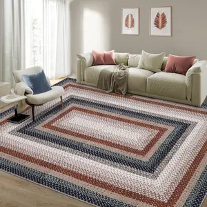 Modern Geometric Rug Braided Printed Carpet Washable Area Rug Soft Non-slip Thin Carpet for Living Room Bedside Home Decor Tiktok Rug