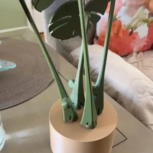 Set 3D Printed Monstera Albo Coaster Plant, Monstera Plant Coaster Set, Decorative Coaster, Leaf and White Pot Color, Modern Plant Decor W/ 4 Coasters, Disguised Functional Home Decor, Great for Desks, Unique Home Decor, Placemat Kitchen Gift Idea