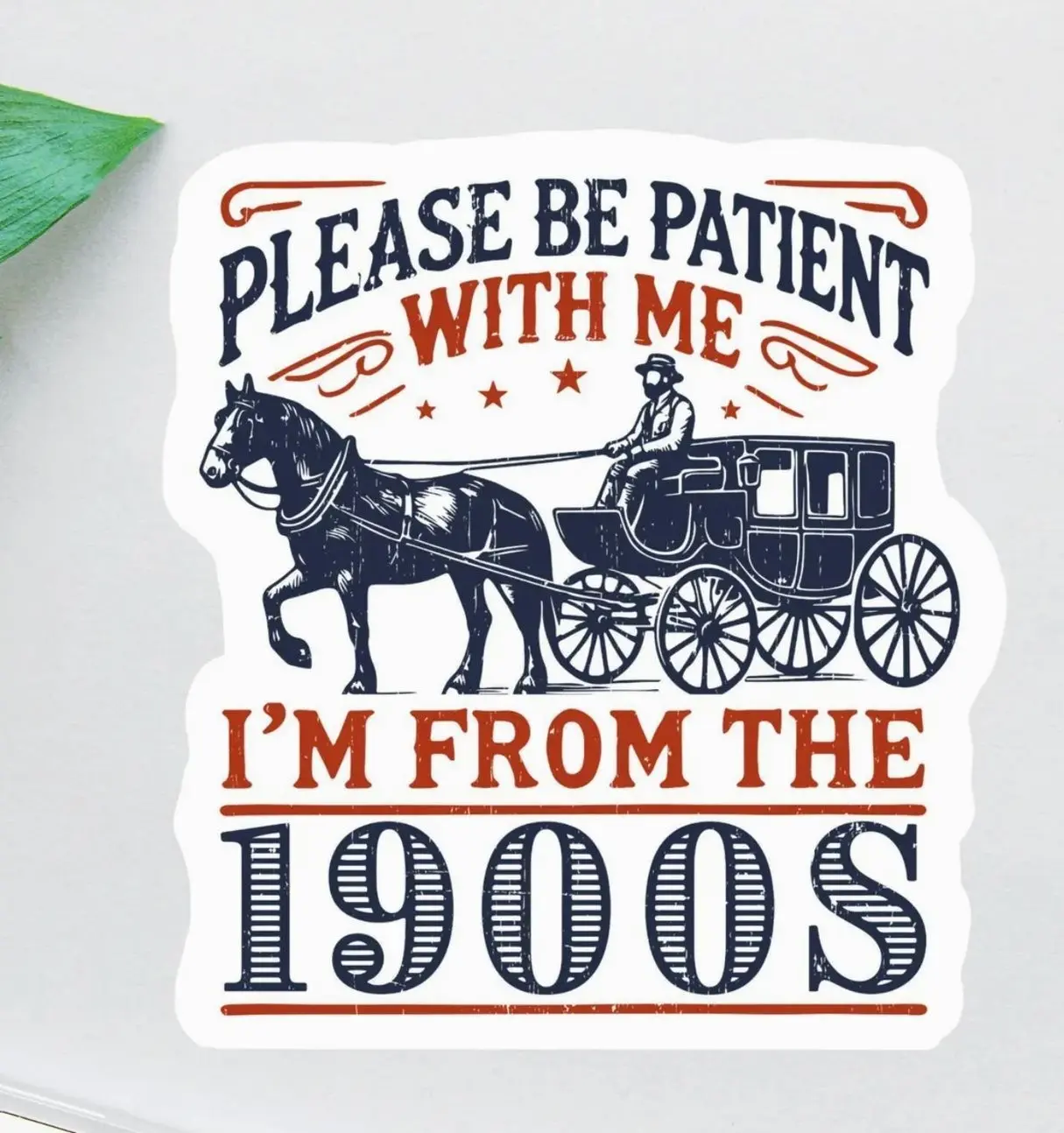 Please Be Patient With Me Sticker, I'm From The 1900s, Funny Laptop Decal, Laptop Water Bottle Decal Sticker