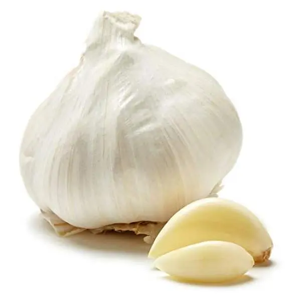 Pilestone 4 Heirloom Hardneck Garlic Bulbs for Planting - Pack Music Garlic Bulbs for Planting, Seed Garlic