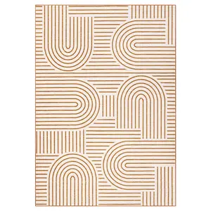 6 ft x 4 ft Rectangular Low Pile Polyester Geometric Modern Area Rug - Foldable, Washable, Soft Cashmere-Like Orange Rug for Hallway, Bathroom Home Furnishings, Modern Area Rugs