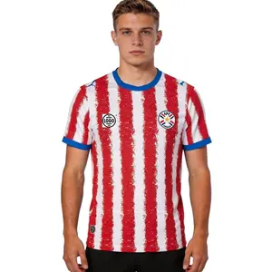 Personalized Paraguay Soccer Jersey Full Set World Cup 2026, Custom Name Number Logo National Soccer Jersey E