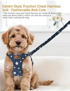 Easy Step-In Dog Vest Harness & Leash Set - No Choke Walking Harness for Small & Medium Dogs, Lightweight & Breathable, Multi-Traction Style, Step-In Design dog accessories