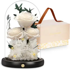 Christmas Flowers Gifts for Women: Forever Preserved Roses for Mom Girlfriend Wife Dome Set