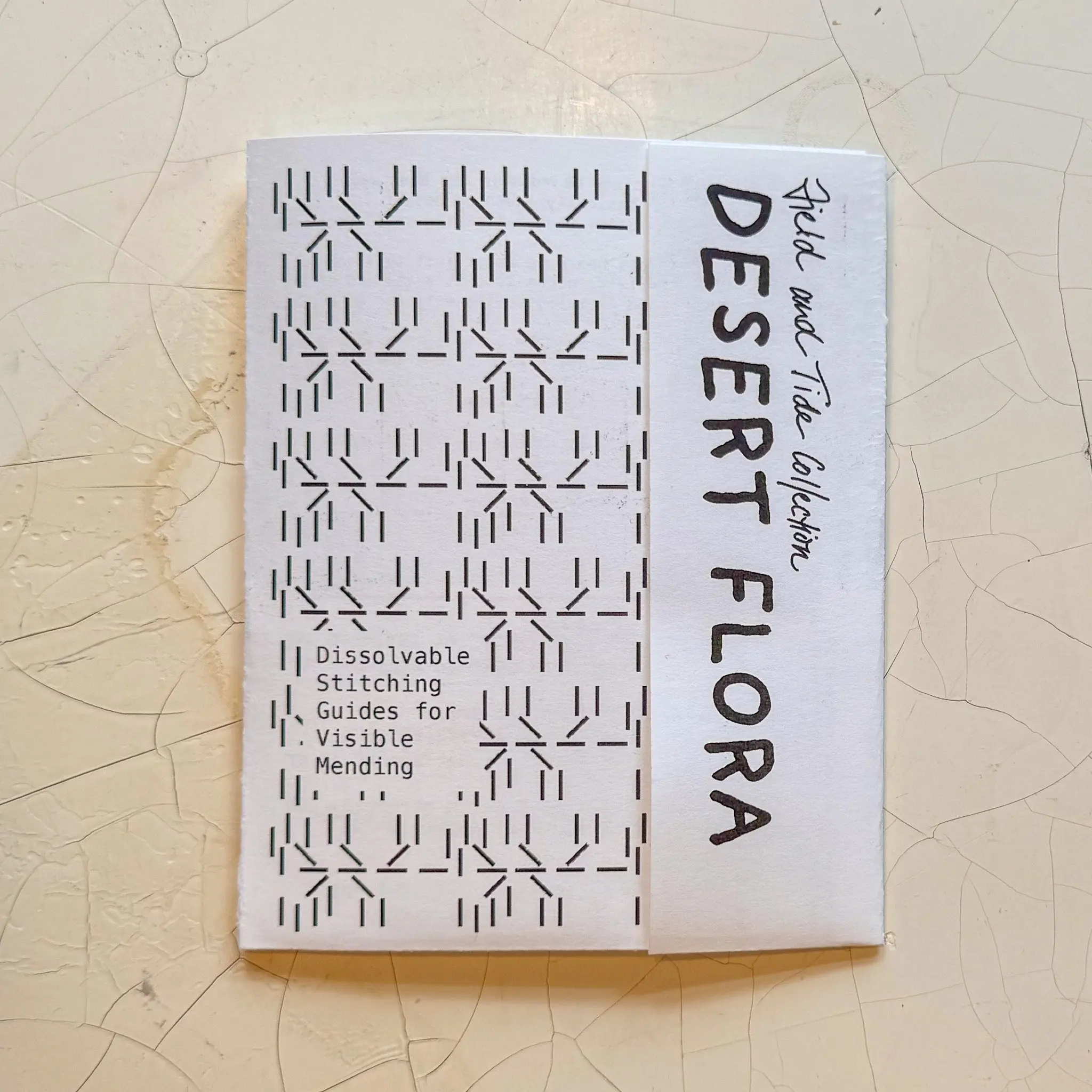 Desert Flora: Visible Mending Transfers
