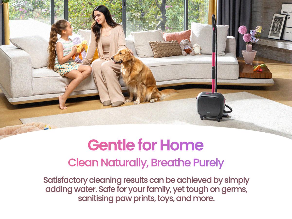 Schenley 21-in-1 Steam Cleaner, High-Pressure Heavy-Duty Steamer for Deep Cleaning Floors, Tiles, Upholstery, Grout, Grill and Cars, Fast Heat-Up, Large Water Tank, Multi-purpose, Portable Design