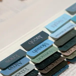 Idyllic Grace Book of Mormon Indexing Tabs