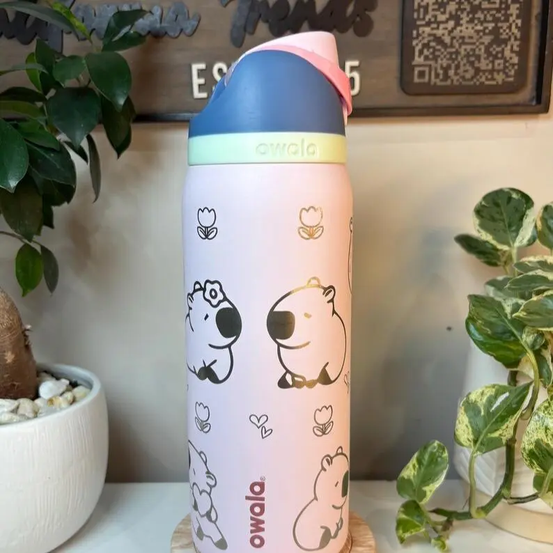 Owala Capybara Floral FreeSip Insulated Water Bottle, Leakproof Stainless Steel Sports Flask