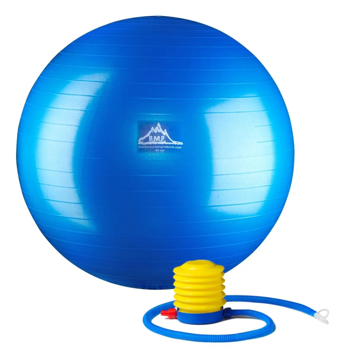 Black Mountain Products Pro Series 85cm Anti-Burst Stability Ball - Professional Grade, Dense Walls, Includes Pump & Exercise Guide, for Fitness Enthusiasts, Core Strength & Balance, Blue, Round Gym Ball, 85 Cm, Includes Pump And Exercise Guide, Overall A