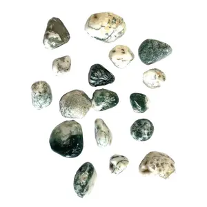 Green Tree Agate Tumbled Stone