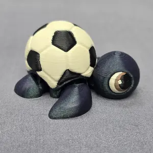 Soccer Turtle