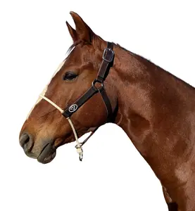 Lariat Leather Halter