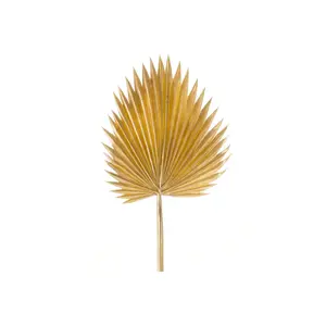Maximum discount  Natural Gold Fan Palm Leaf Set Of 6