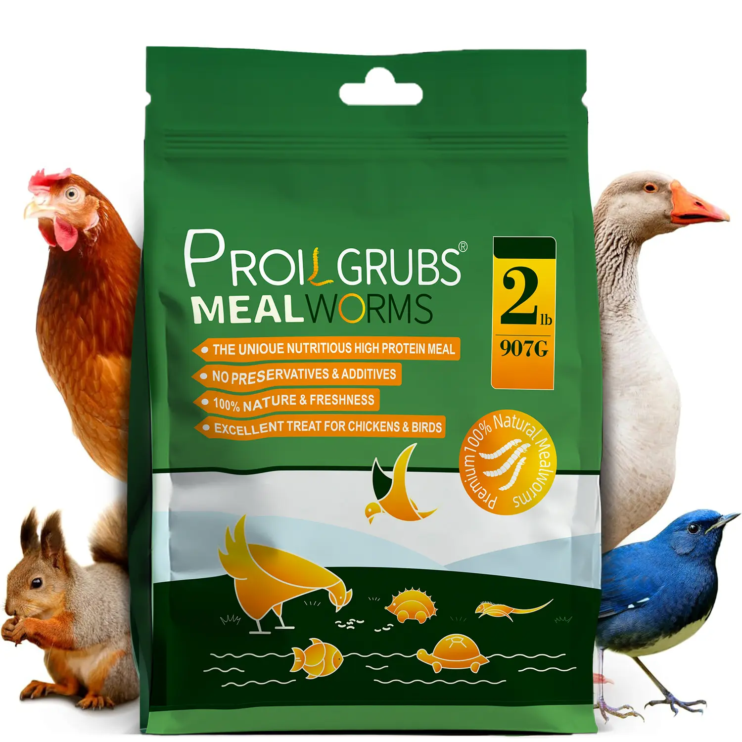PROILGRUBS 2 lbs Dried Mealworms High Protein Poultry Supplement - Organic, No Preservatives/Additives Dry Feed for Backyard Chickens, Geese - Ideal for Bird Tables, Fruit/Vegetable Pairing #sohochic