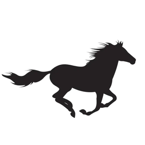 dvalley