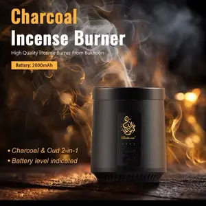 Electric incense and charcoal burner Electric incense and charcoal burner
