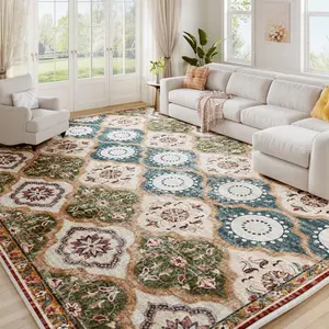 Raybee Washable Rugs for Living Room, Boho Moroccan Area Rug, Non-Slip & Washable Carpet, Soft & Stylish Home Decor Indoor Floor Mat, Perfect Area Rug for Living Room,Entryway, Bedroom, Kitchen and Corridor