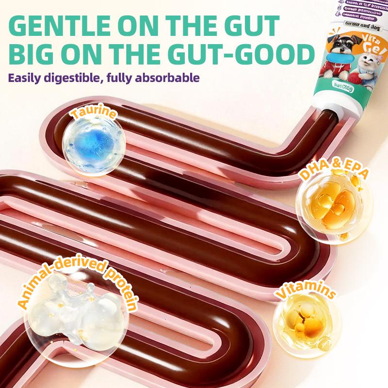 Hegenpet Concentrated Energy Supplement Paste (4Flavors) Premium Nutritional Gel for Picky Eaters - BoostImmunity & Vitality for Dogs & Cats