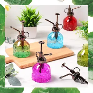 Glass Plant Mister Spray Bottle