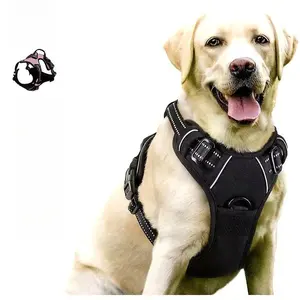 No-Pull Dog Harness – Front Clip, Comfortable & Secure for Walks