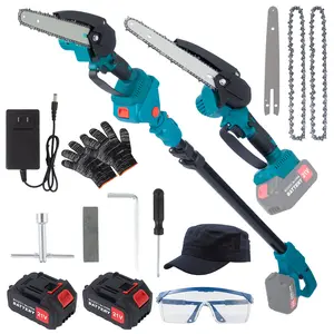 2-in-1 Cordless Pole Saw & Mini Chainsaw Kit with 2 Batteries, Safety Gear, and Accessories for Tree Trimming & Wood Cutting