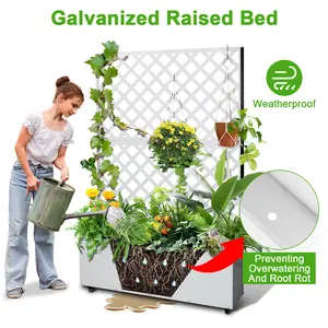 Galvanized Metal Raised Garden Bed with Trellis – White Planter Box for Climbing Plants, Flowers & Vegetables, Outdoor Privacy Screen & Drainage Holes