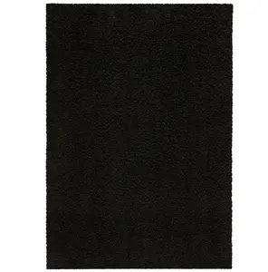 Traditional Solid Black Shag Tufted Indoor Accent Rug, 1'8x2'10