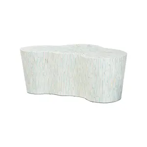 Fiorella Capiz Shell Coffee Table with Textured Inlay, Irregular Shape