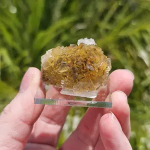 Yellow Spanish Fluorite with Calcite Inclusion