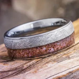 Titanium Ring With Meteorite & Fossilized Dinosaur Bone