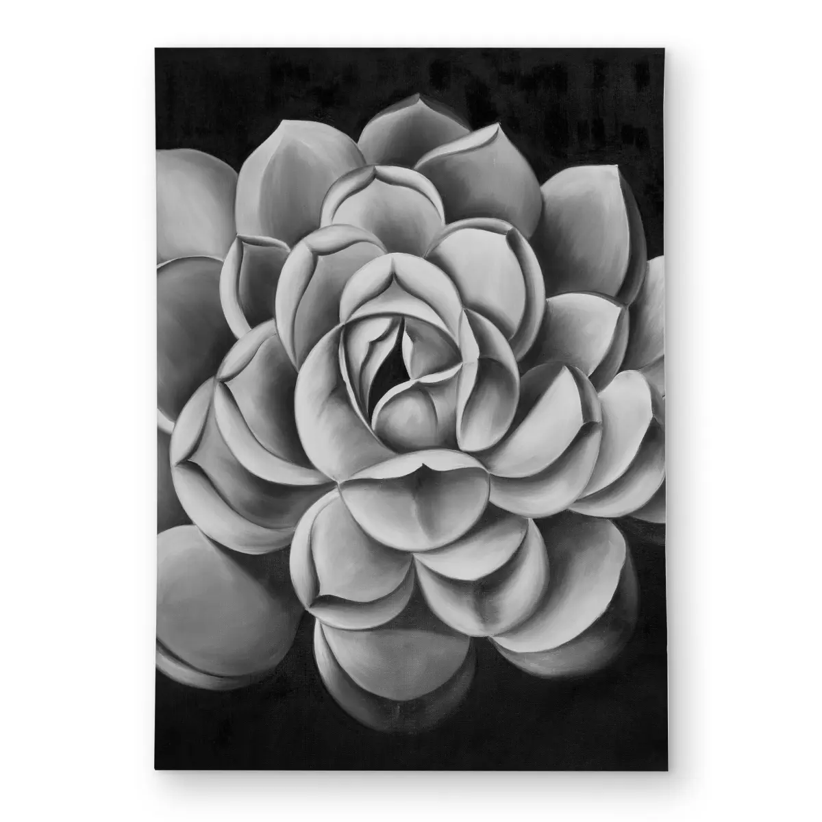 Begin Home Decor C1ROAR57IC2HZV 5x7 ft. Black & White Succulent Indoor Outdoor Rug, Rectangle Home Decorative Rugs