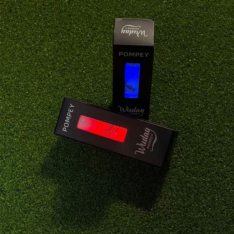 WUDAY 6pcs Glow in the Dark LED Golf Balls The LED Core is encased in a Surlyn outer shell with a resin spacer layer.Night Golf Gift for Men & Women golf golf gifts for him golf accessories top golf back net