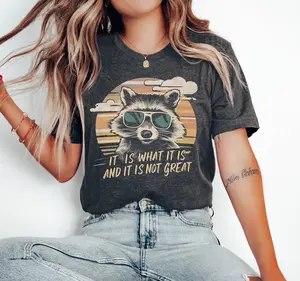 It Is What It Is Shirt Funny Raccoon Shirt Racoon Gifts Racoon Shirt Raccoon Meme Shirt Animal Lover Gift Trash Panda Shirt Racoon Gifts unisex sweatshirt