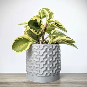 ChiclyBuilt Geometric Pot with Matching Drain Tray