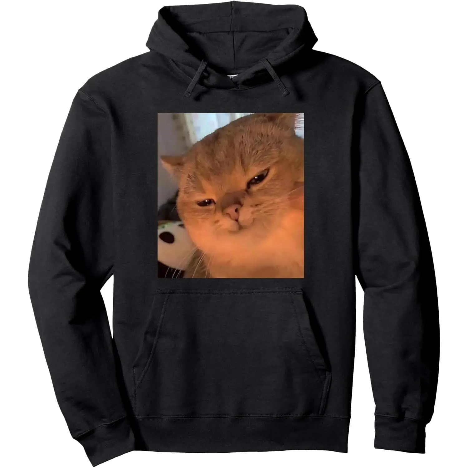 Men's Funny Cat Meme Pullover Hoodie, Stylish Polyester-Cotton Sweatshirt with Kangaroo Pocket, Warm Fleece-Lined Tops, Fabric, Menswear, Cap, Aesthetic, Casual, Outdoor