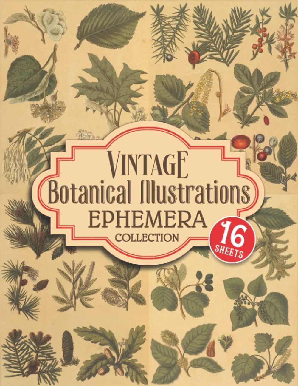 Vintage Botanical Illustrations Ephemera Collection: 16 Ephemera Sheets of Botanical Plants Illustrations And Over 150 Ephemera Pieces for Scrapbooking and Mixed Media