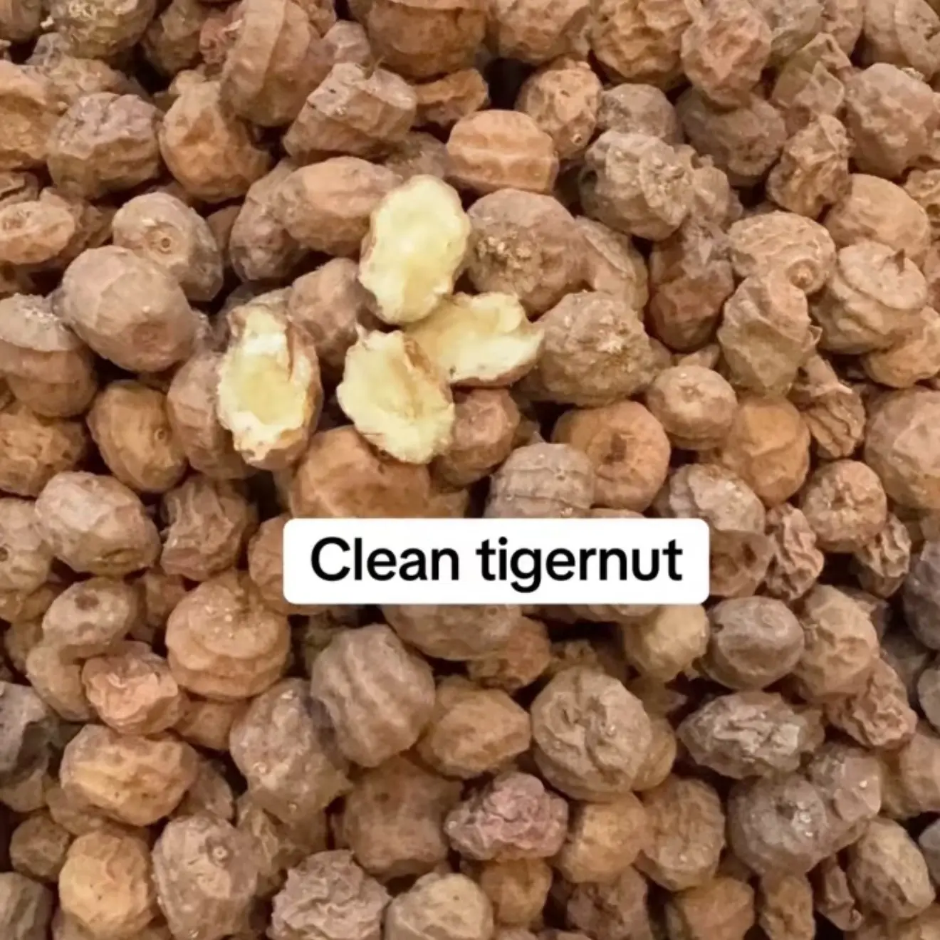 ORGANIC AFRICAN DRY TIGERNUT, small/medium seed, (Aki-Hausa) 1lb per pack