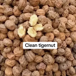 ORGANIC AFRICAN DRY TIGERNUT (Aki-Hausa) 1lb per pack ORGANIC AFRICAN DRY TIGERNUT (Aki-Hausa) 1lb per pack