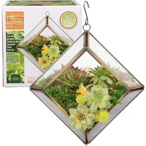D'Eco Glass Mini Diamond Plant Terrarium (5 x 5 x 3.5") - Indoor Tabletop Copper Geometric Planter Decor - Gift for Plant Lovers