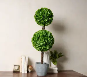 Wicker Park 3' Indoor/Outdoor Jade Topiary Tree
