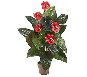 3' Anthurium Plant (Real Touch) by Nearly Natural