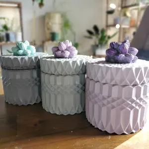 cement modern succulent trinket jar