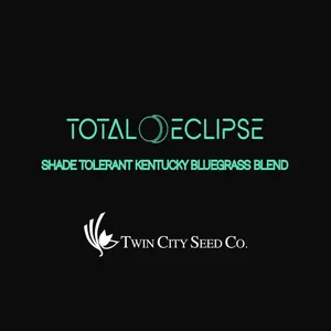Total Eclipse Shade Tolerant Kentucky Bluegrass