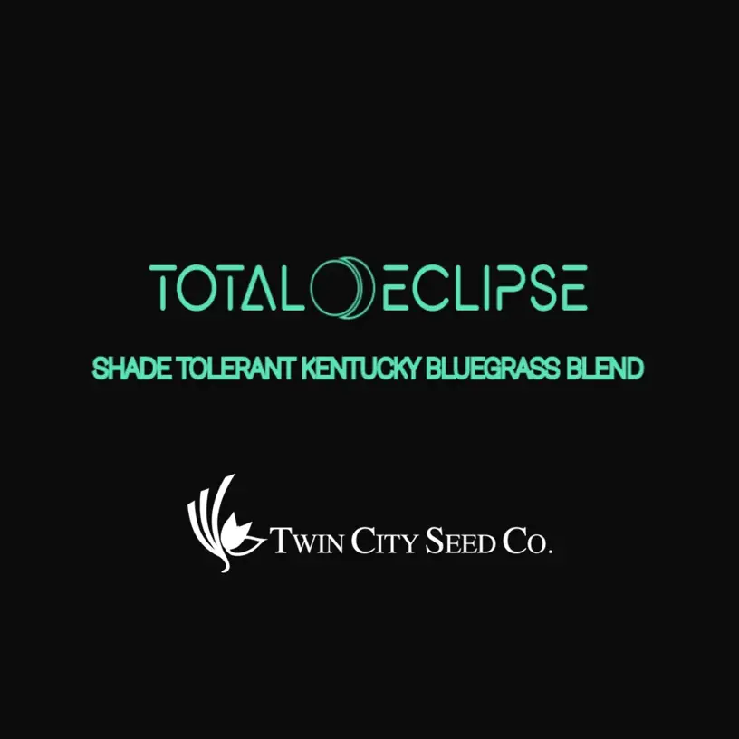 Total Eclipse Shade Tolerant Kentucky Bluegrass