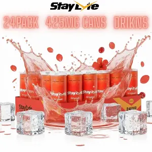 Hydration Recovery Boost Beverage Hibiscus Rush Sparkling Electrolyte Energy Drink StayLyte 24 Pack Clean Natural 355ml Zero Sugar B Vitamins Fitness Performance Drink