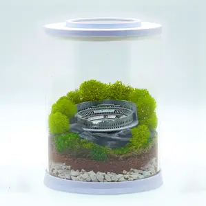 Roman Colosseum Terrarium Kit | MINI
