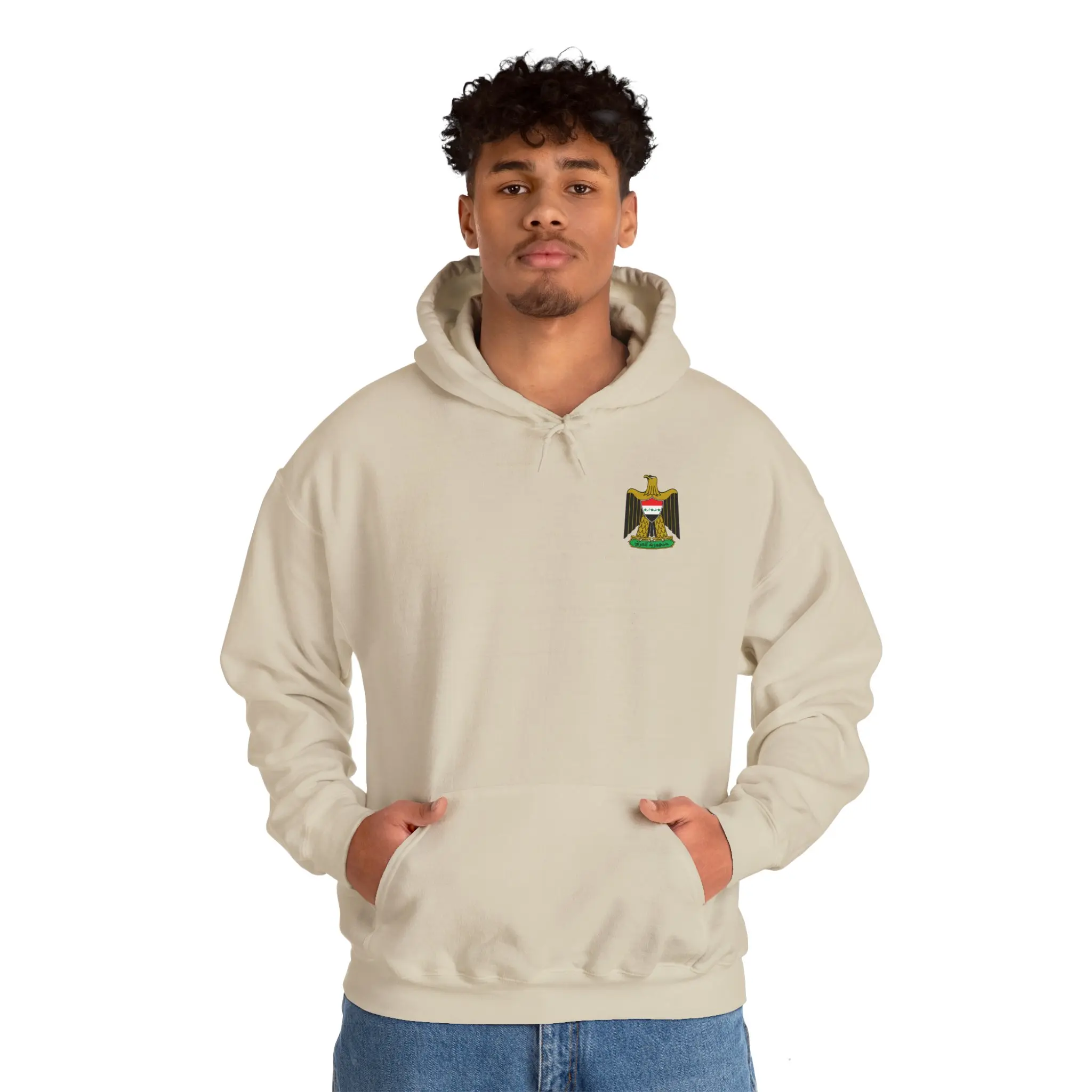 Iraq Flag Map Hoodie, Iraqi Sweatshirt, Comfy Iraqi Pullover, Iraq Pride Jumper, Iraq Gift for Him/Her