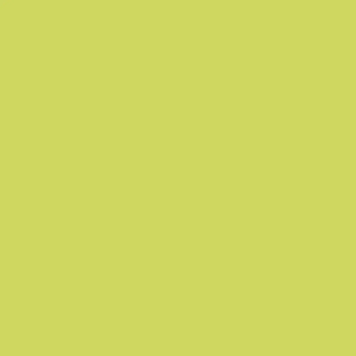 Fabric Riley Blake Kiwi Confetti Cotton by the Quarter Yard C120-KIWI